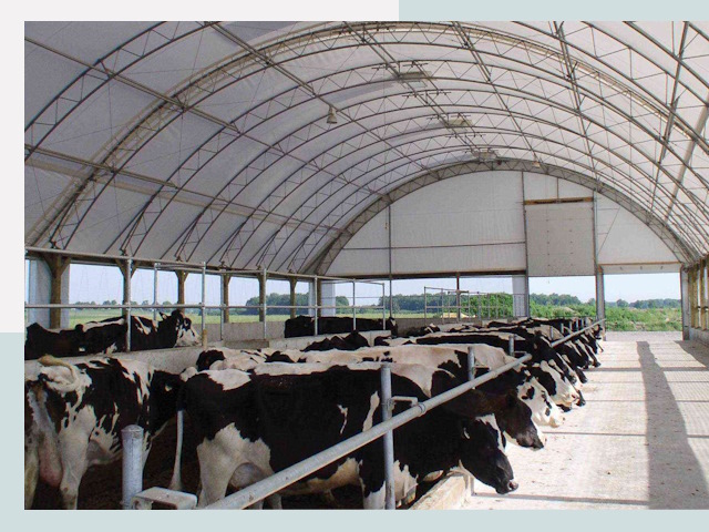 Тентовые коровники в Екатеринбурге